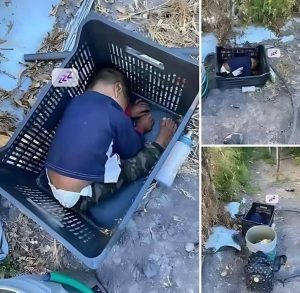 This approximately 2-year-old boy was found…